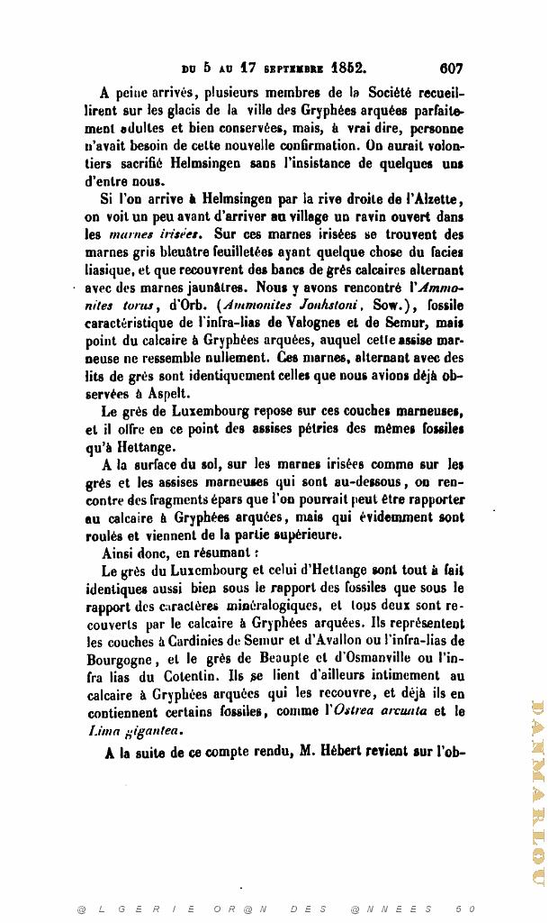 BULLETIN DE LA SOCIETE GEOLOGIQUE DE FRANCE 1852_000656.jpg